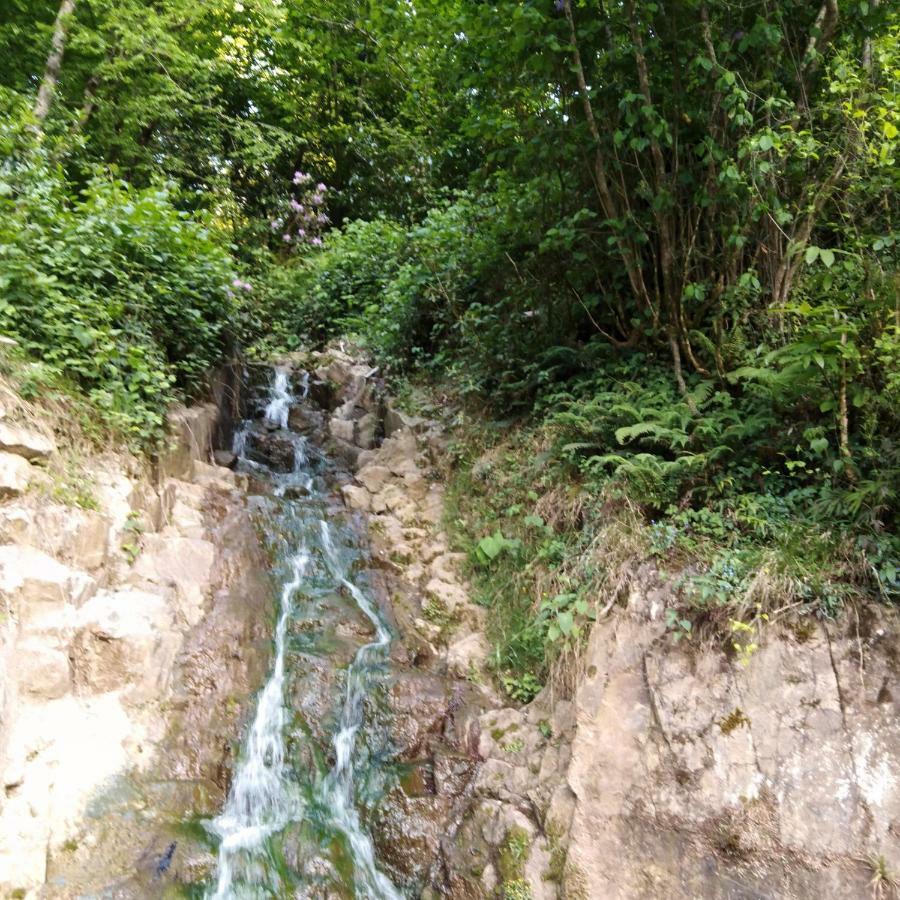 Zisto Apart Otel & Bungalows Rize Exterior foto