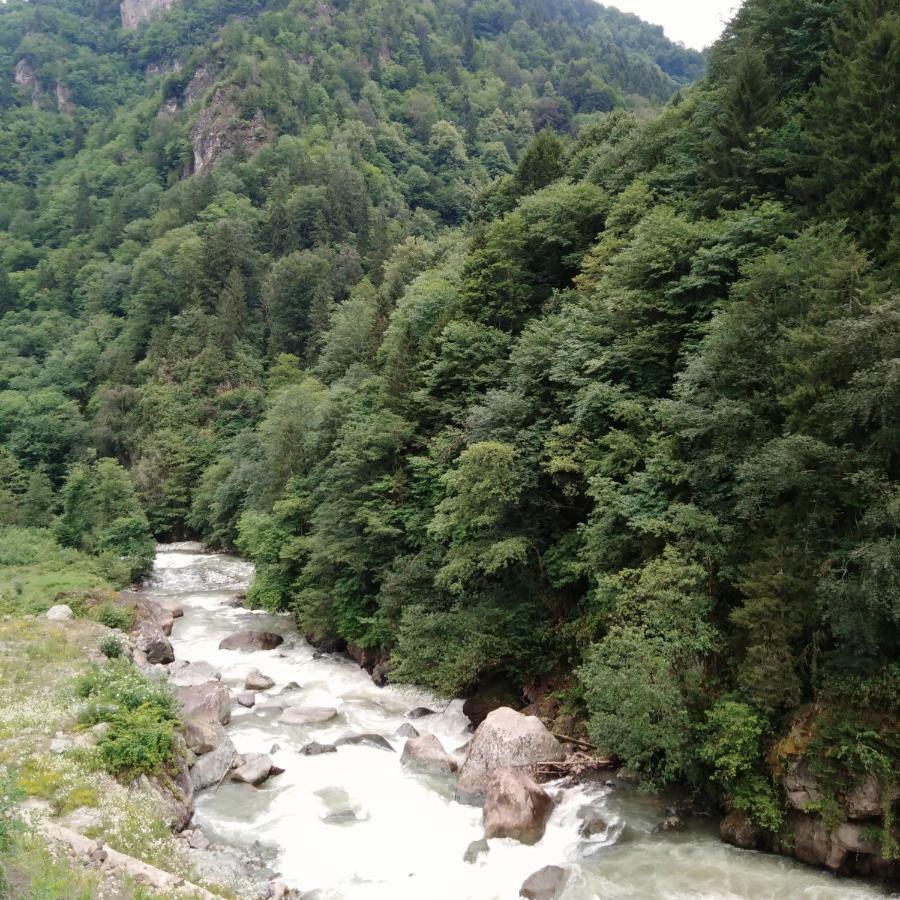 Zisto Apart Otel & Bungalows Rize Exterior foto